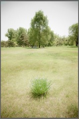 20120526-_DSC7541.jpg