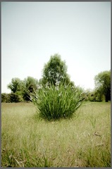 20120526-_DSC7545.jpg