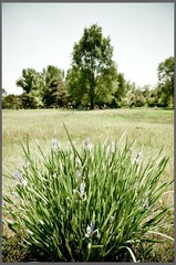 20120526-_DSC7546.jpg