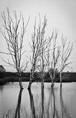 20120623-_DSC8415.jpg