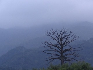 西昆村.JPG