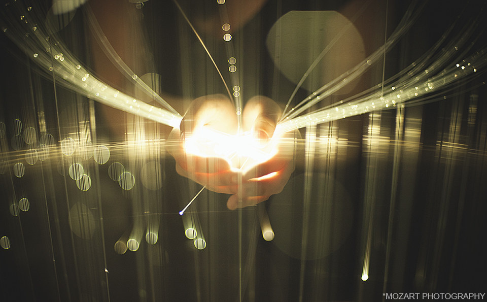 光之精灵 br /> 心的世界的光在掌心中绽放