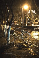 夜归