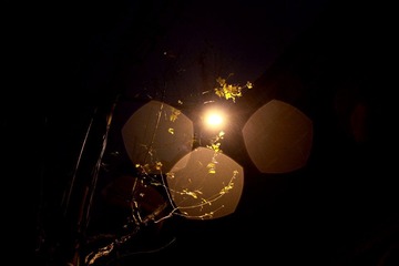 IMG_7608.jpg