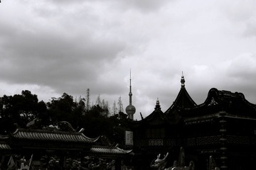 IMG_7832.JPG