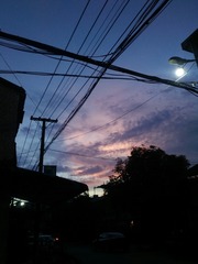 1301845