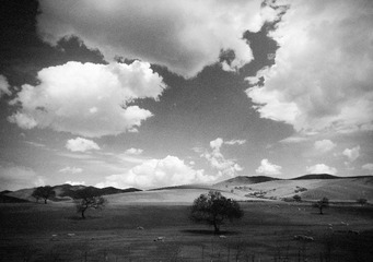 P30510-110700-2clorx