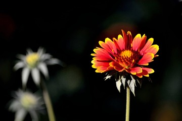 0865