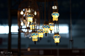 DSC_3510a