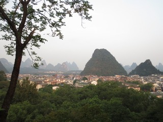 IMG_2572 (2)