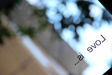 IMG_7569.JPG