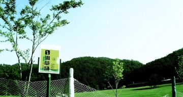 低像素日记.jpg