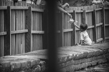 _DSC4335