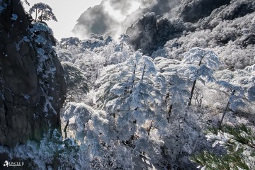 _DSC1821 003