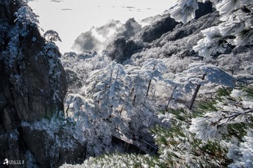 _DSC1821 1 1