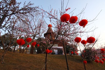 IMG_4140.JPG