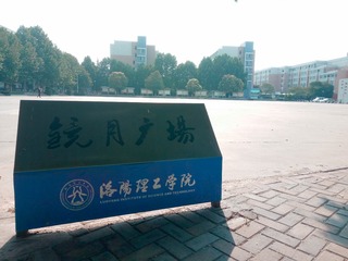 307058
