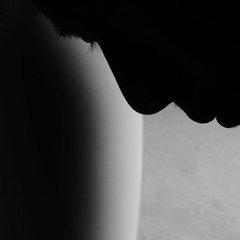 婺源 我梦见你看见了我的梦 摄影： 吕叶 Flickr quizasleaf 