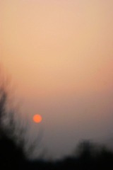 DSC07982.jpg