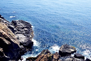 海