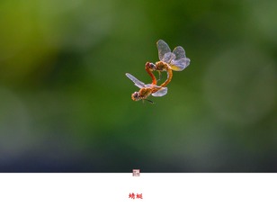 738523