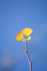 325012