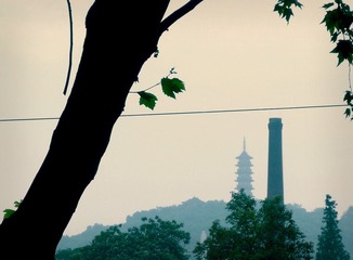 试比高。（摄于海宁建设路）.jpg
