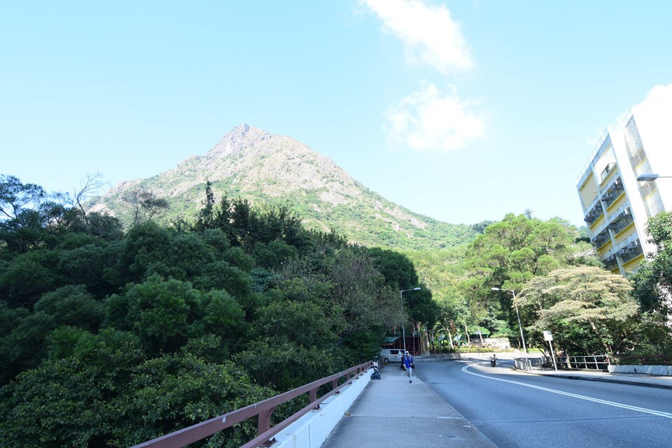 利安道向飛鵝山方向 