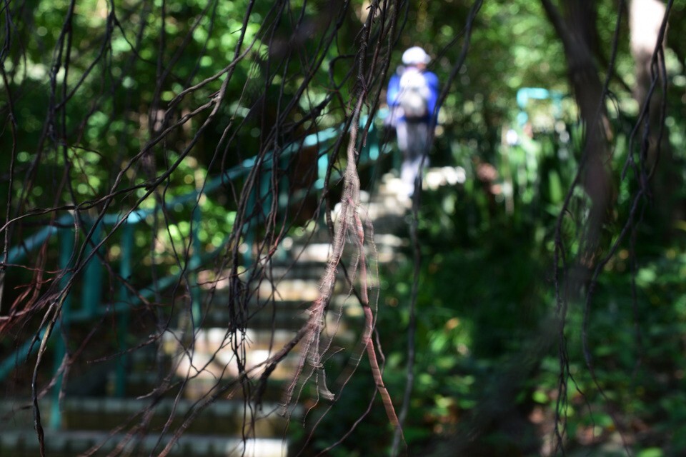 公園仔上走新清水灣道