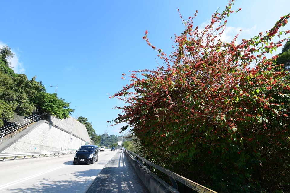 接新清水灣道過安達臣路