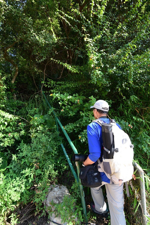 安達臣路口山旁小徑上大上托