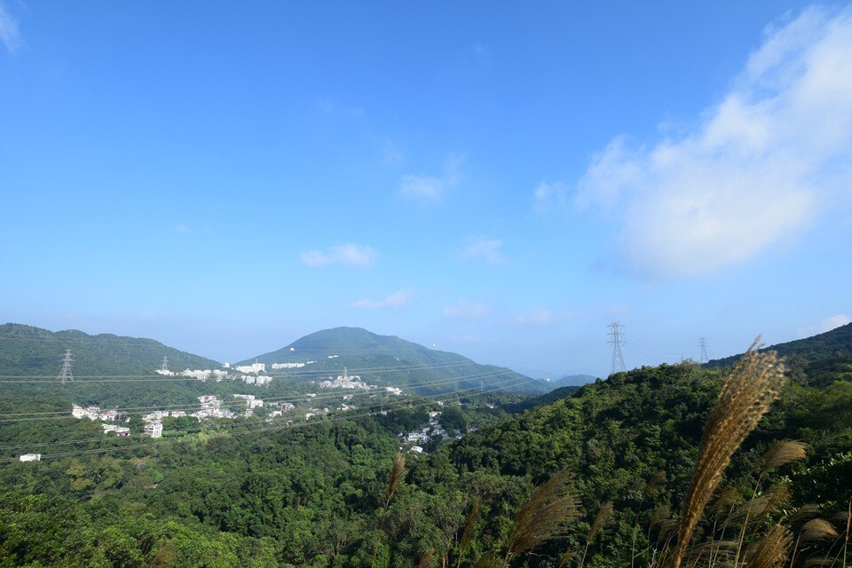 眺望井欄樹及鷓鴣山一帶