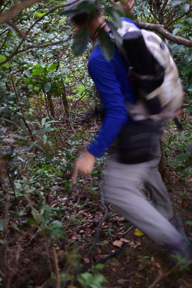 崎嶇密林陡斜荒脊下走配水庫