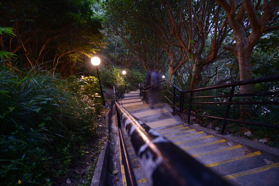 藍田公園