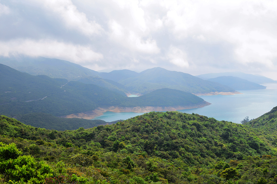 上山上走擺頭墩大緒仔路沿麥理浩徑第一段上行至萬宜坳飛躶高腳蜈蚣山