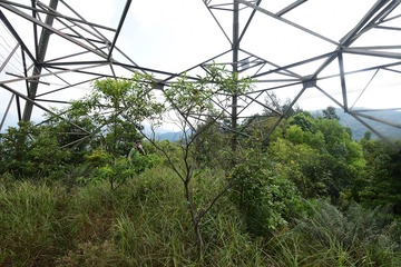 DSC_0044 接東面的高壓電塔過割草坳落茅笪村