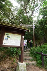 DSC_0070 沙田坳接麥徑五段上雞胸山