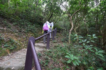 DSC_0071 麥理浩徑第五段 Mclehose Trail Section 5