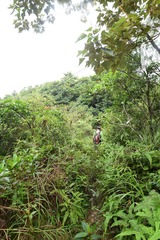 DSC_0082 沿雞胸山山脊過貓仔山