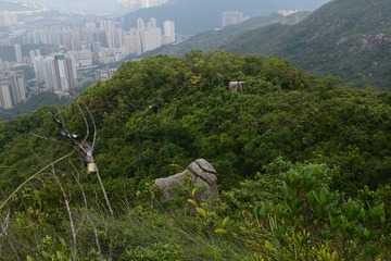 DSC_0087 貓仔山望貓仔石