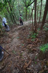 DSC_0099 山徑接落衛徑五段