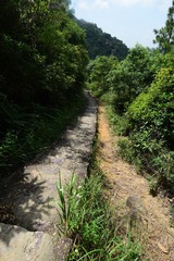 DSC_0100 衛奕信徑第五段 Wilson Trail Section 5