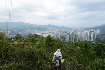 DSC_0114 荒徑落科豆坪
