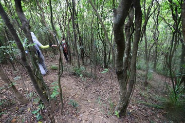 DSC_0134 闖一段叢林落獅子山隧道公路斜坡