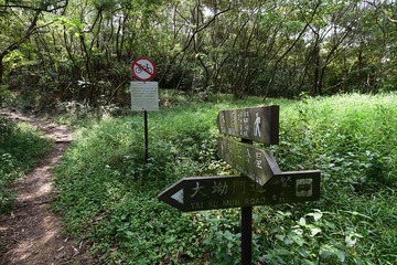 DSC_0089 蝦山篤 Ha Shan Tuk