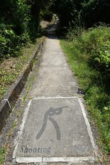 DSC_0122 奧運徑路面上鋪上的射擊圖案