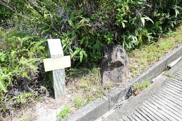 DSC_0129 奧運徑路牌