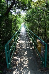 DSC_0132 過橋
