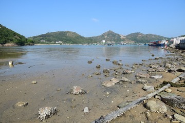 DSC_0070 索罟灣泥灘