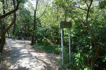 DSC_0142 沿路退回青年營轉走中央山徑往大嶺風采發電站